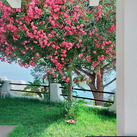 Apartmán Dimore Acquasale- Sea View