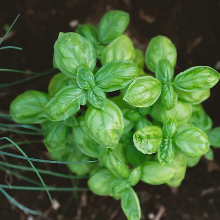 Dimore Acquasale- Sea View