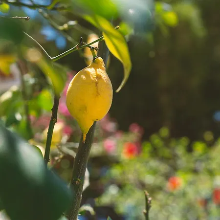 Apartmán Dimore Acquasale- Sea View *