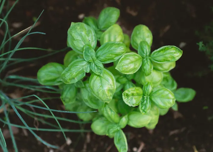 Dimore Acquasale- Sea View